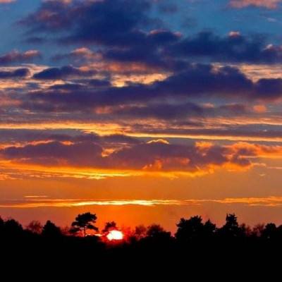 ag亚游APP登陆下载手机版